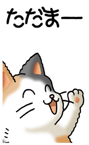 327842600