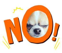 327856192