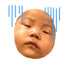 327861668