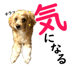 327863448