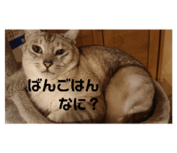 327980500