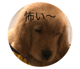 327993533