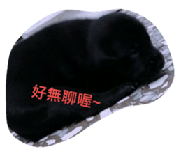32802638