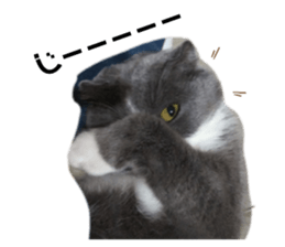 328173933