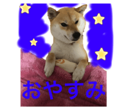 328280654