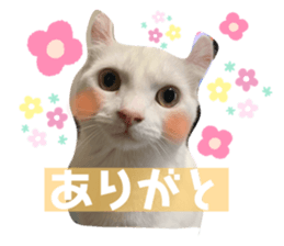 328283780