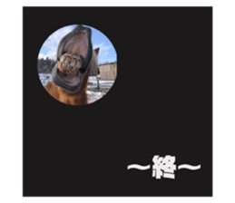 328287195