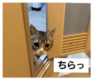 328326643