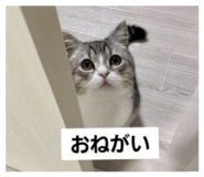 328326646