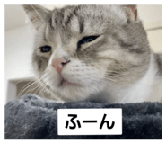 328326654