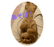 328432729