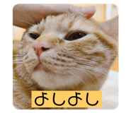328432737
