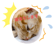 328432738