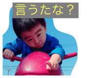 32850162