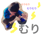 32850165