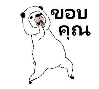 อัลปาก้า ซ่าฝุดๆ รูปที่ 5