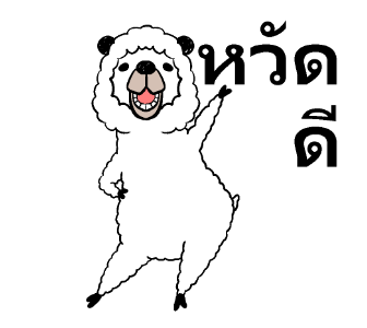อัลปาก้า ซ่าฝุดๆ รูปที่ 8