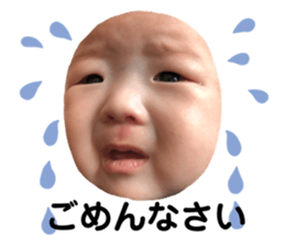 328541654