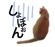 328595597