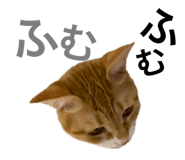 328595601