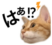 328595620