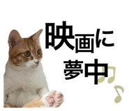 328595628