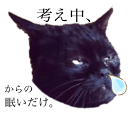 328601278
