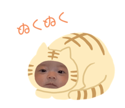 328601752