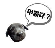 328607392