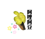 328607400