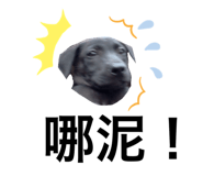328607402
