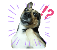 328659348
