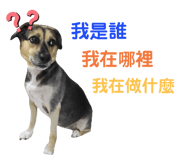 328659354