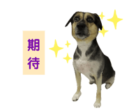 328659356