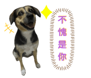 328659358