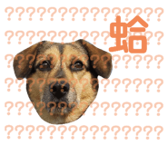 328659372