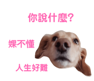 328659377