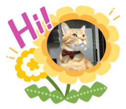 328955920