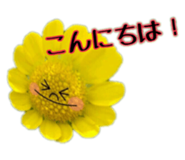 328961385