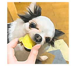 328965133