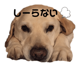 328967096