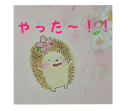32897471