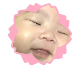 329033324