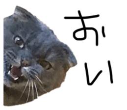 329035048