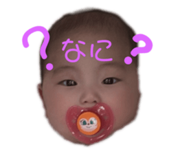 329136238