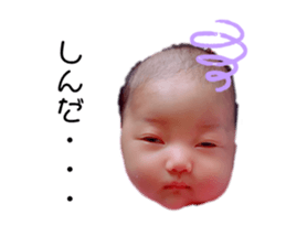 329136243