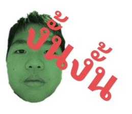 329142931