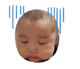 329240647