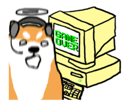 329241231
