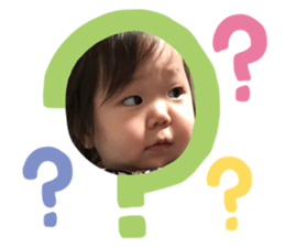329254902